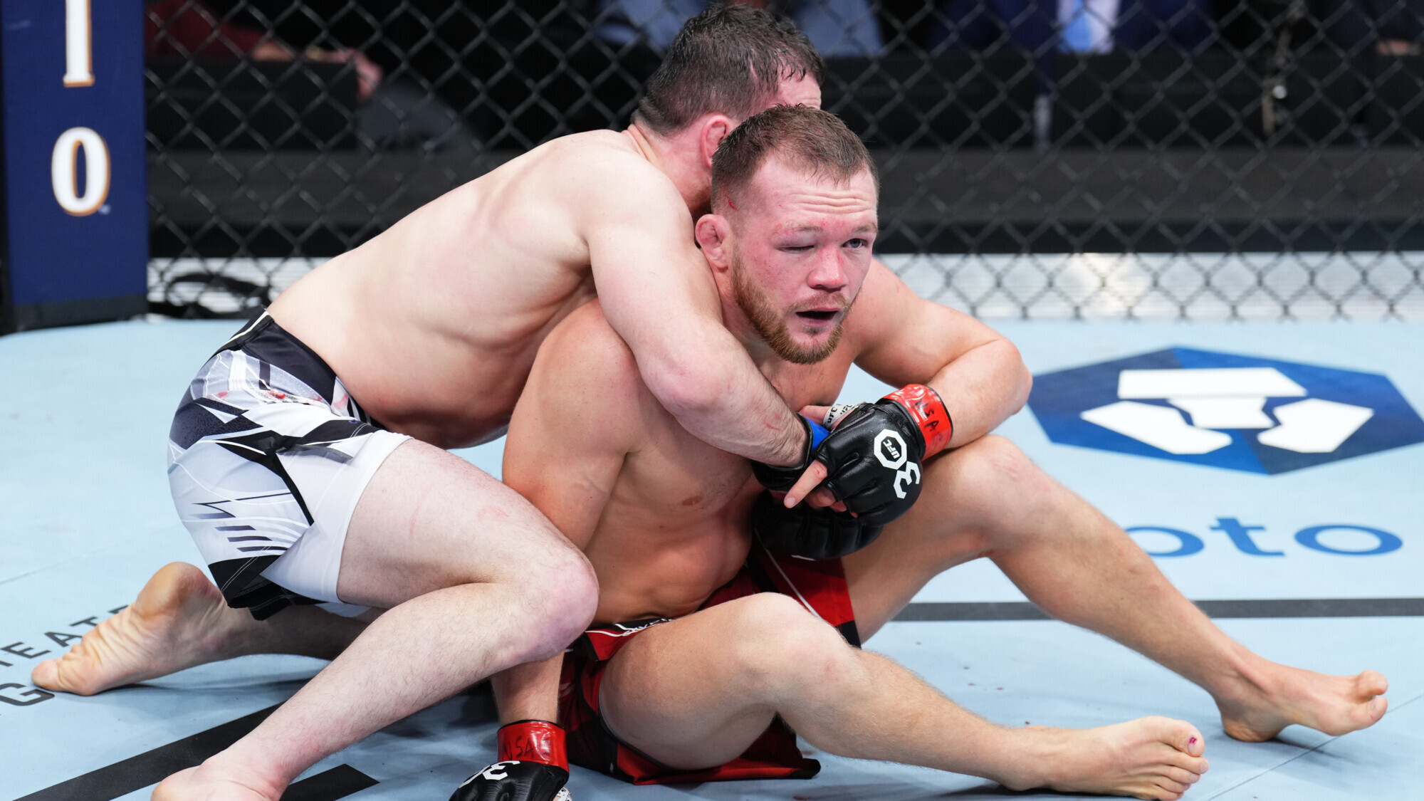 Прогноз на бой UFC 333 24 октября 2026 года Петр Ян — Мераб Двалишвили: фаворит не сдаст назад