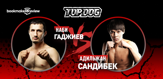 Прогноз на бой Top Dog Наби Гаджиев – Адильжан Сандибек