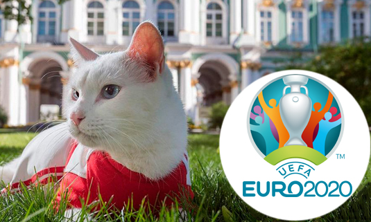 Кот из Эрмитажа станет оракулом чемпионата Европы по футболу